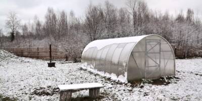 Что нужно сделать в огороде зимой, чтобы будущий урожай порадовал
