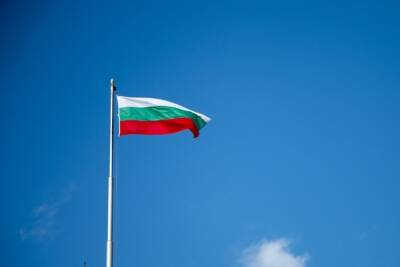 Экзит-полл: во II туре выборов президента Болгарии побеждает Радев