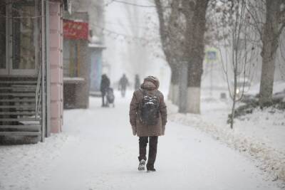 В начале недели в Волгограде ожидается мокрый снег и метель