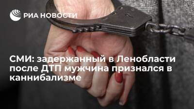 "Пятый канал": задержанный в Ленобласти после ДТП с выпавшим телом сознался в каннибализме