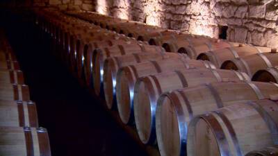 Бочку вина продали на торгах во Франции за рекордные €800 тысяч