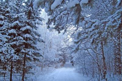 Начало недели в Поморье будет снежным