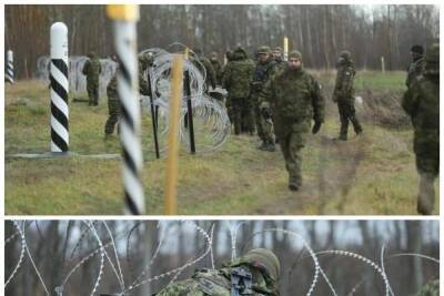 Эстонские военные начали строить забор на границе в Россией