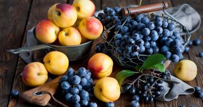 Абрикосы и виноград будут выращивать в Беларуси