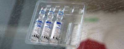 Гинцбург: создания вакцины от COVID-19, действующей пять-десять лет, возможно