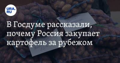 В Госдуме рассказали, почему Россия закупает картофель за рубежом