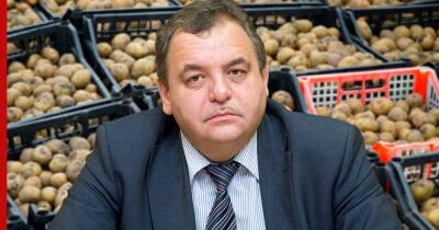 В Госдуме объяснили, почему Россия покупает овощи за рубежом
