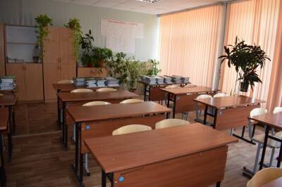 На дистанционку в Липецке ушли 11 классов, две группы в детских садах - на карантине