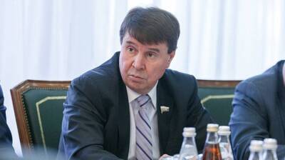Сенатор Цеков надеется на объективное рассмотрение Международным судом исков о преступлениях ВСУ в Донбассе