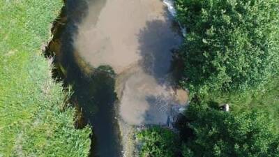 Росприроднадзор оштрафовал птицефабрику за сброс нечистот в реку Теча