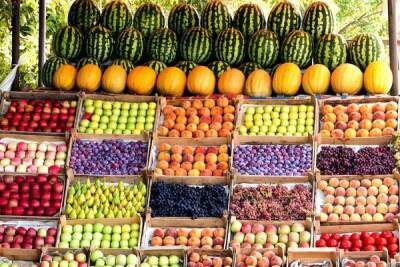 Узбекистан поставил в Афганистан 26 тыс. тонн фруктов и овощей