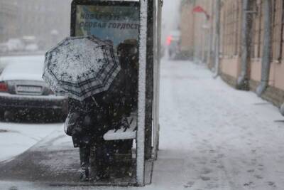 Антициклон принесет первые морозы в Петербург в начале недели