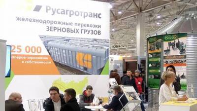 «Русагротранс»: Ж/д транспортировка зерна в России в конце года может вырасти до 30%
