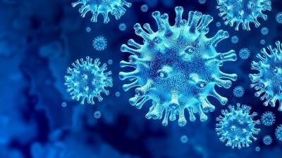 Во Франции заявили о «стремительном» начале пятой волны коронавируса