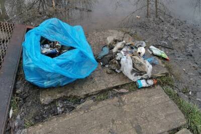 В Туле Щегловский ручей вновь завалили мусором
