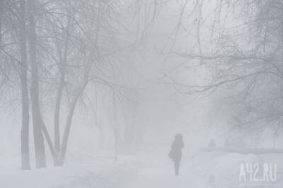 Штормовой ветер и снег: синоптики дали прогноз погоды на неделю в Кузбассе