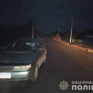 В Запорожской области ВАЗ переехал женщину, которая лежала на дороге. Фотофакт