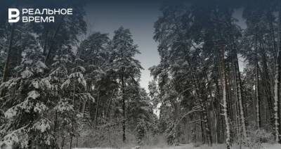Синоптики дали прогноз на ближайшие дни: Татарстан ждет метели и мороз до -16