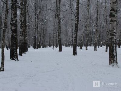 Снегопады и легкий мороз принесет нижегородцам наступившая неделя