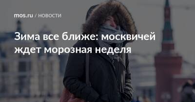 Зима все ближе: москвичей ждет морозная неделя