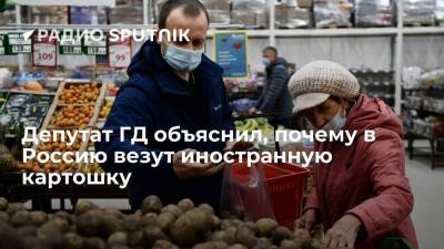 В комитете Госдумы РФ по аграрным вопросам объяснили, почему Россия закупает картофель за рубежом