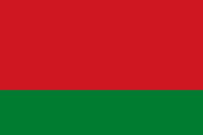 Геннадий Давыдько - Белорусский депутат допустил появление единой валюты и флага Союзного государства - mk.ru - Россия - Белоруссия - ?