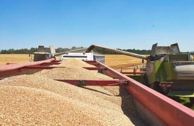 Континентал удвоил экспорт пшеницы в Саудовскую Аравию