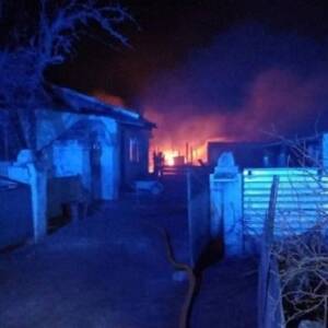 В Одесской области на пожаре в хозяйственной постройке погибли почти 200 овец