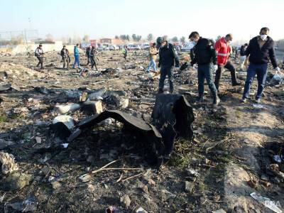 Украина считает нецелесообразным участие посла в суде по катастрофе самолета МАУ