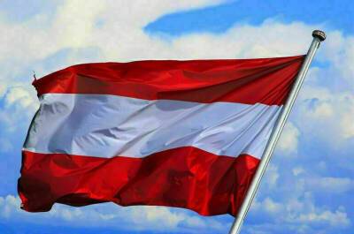 Эксперты фиксируют падение доверия к политикам в Австрии