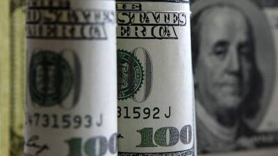 Аналитик перечислила причины укрепления доллара