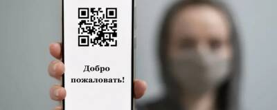 Бизнес-сообщество Москвы просит отменить QR-коды для ряда отраслей