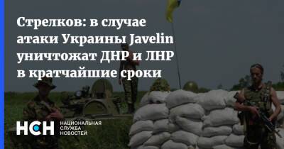 Стрелков: в случае атаки Украины Javelin уничтожат ДНР и ЛНР в кратчайшие сроки