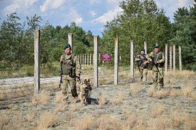 Украинского генерала рассмешила стена на границе против русских танков