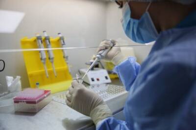 Мутацию коронавируса заразнее «дельты» обнаружили в России