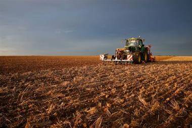 Цена пшеницы на Euronext обновила исторический рекорд из-за опасений о предложении