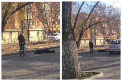 "Давайте, давите меня": в Одессе мужчина лег посреди дороги, видео