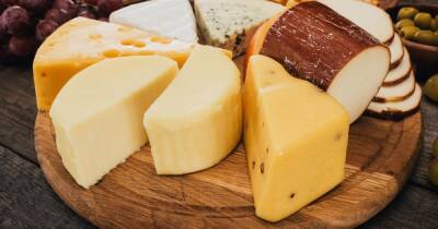 Покупаем сыр: как отличить качественный продукт от суррогата