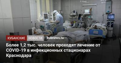 Более 1,2 тыс. человек проходят лечение от COVID-19 в инфекционных стационарах Краснодара