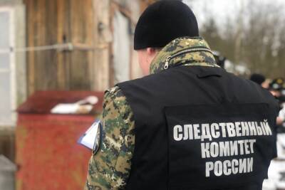 Пьяный конфликт в старорусской деревне завершился выстрелами из обреза