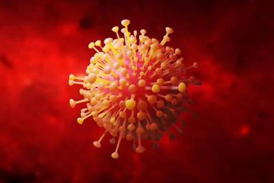 Инфекционист рассказал, может ли коронавирус самоуничтожиться с лица Земли