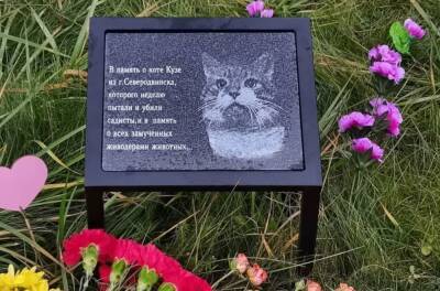 Убивших кота Кузю живодёров из Северодвинска могут лишить родительских прав