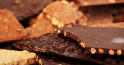 Диетолог назвала ежедневную норму шоколада, безвредную для организма
