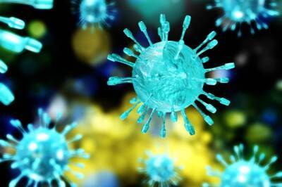Инфекционист усомнился, что коронавирус может самостоятельно исчезнуть
