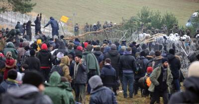 Евросоюз уговаривает Беларусь репатриировать всех мигрантов