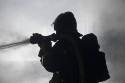 МЧС оспорило приговор суда по делу пожарных, тушивших ТРЦ «Зимняя вишня»