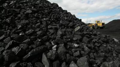 Украинская «Центрэнерго» займётся доставками импортного угля по морю