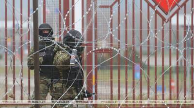 Депутат Госдумы о ситуации на границе: это просто декорации нового европейского фашизма