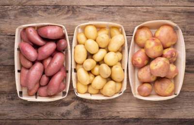Европейские производители картофеля объединяются для контроля авторских прав