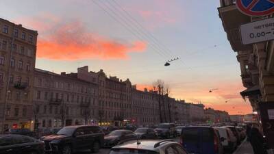Доцент ИТМО Атаев призвал запретить парковку машин на центральных улицах Петербурга